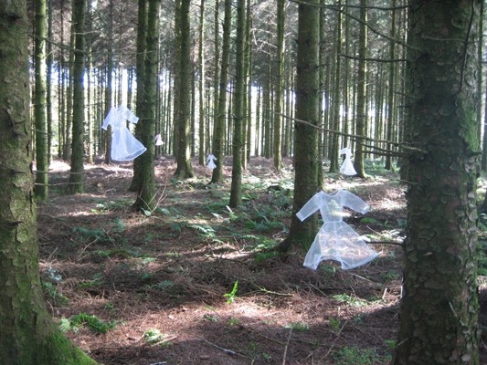 Dresses by Jenni Dutton