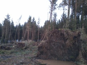 After Wednesday 12 Feb