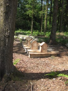 photo burning down the house louise